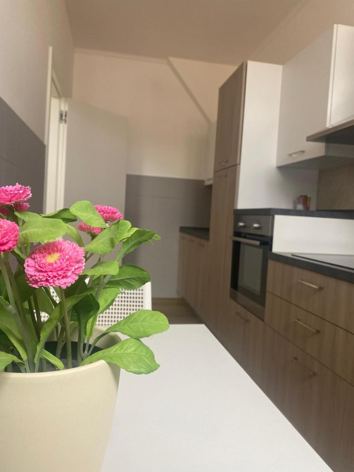 Apartment Palazzo Venezian 5 *